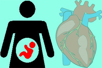 Лишний вес при беременности и порок сердца у ребенка