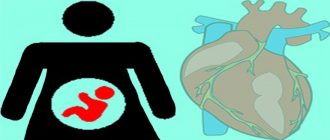 Лишний вес при беременности и порок сердца у ребенка