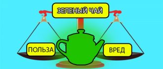 Зеленый чай - польза и вред